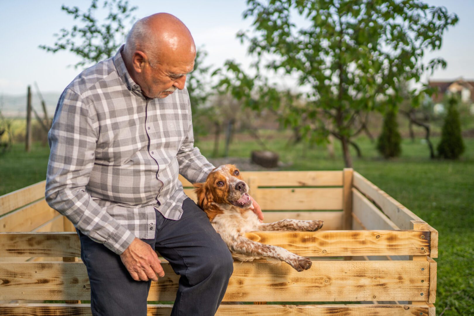 Senior man sitting on wooden fence in back yard and stroking his dog in box